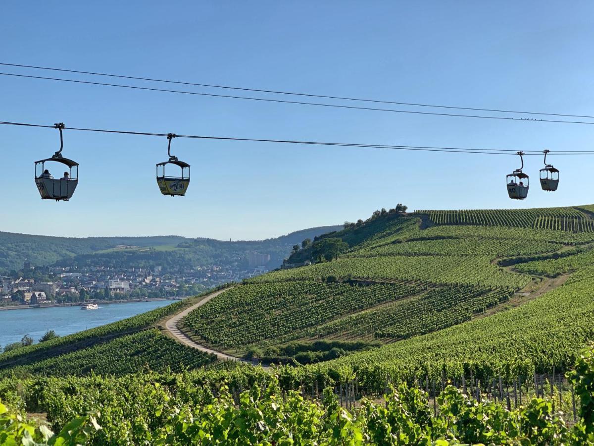 Fewo Zur Goldenen Traube Rüdesheim nad Renem Zewnętrze zdjęcie
