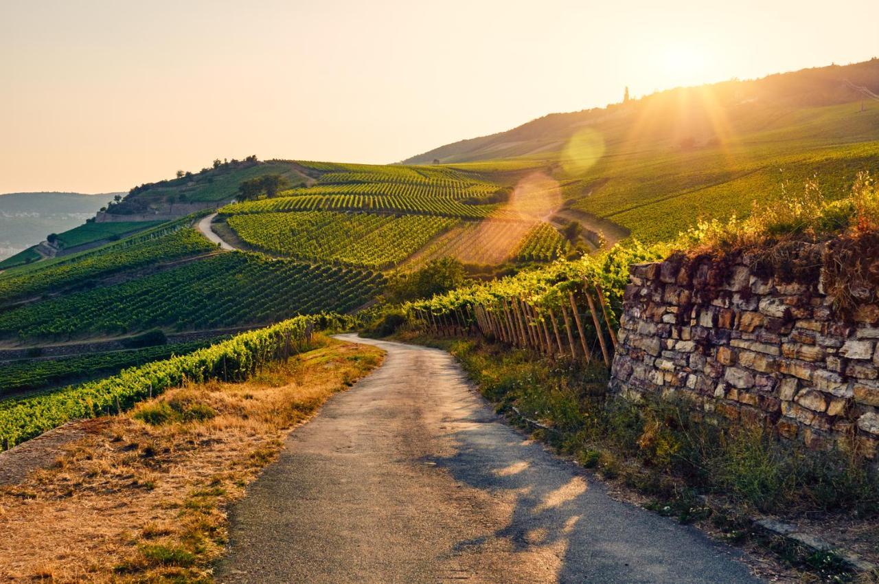 Fewo Zur Goldenen Traube Rüdesheim nad Renem Zewnętrze zdjęcie